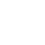 White background.